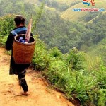 du-lich-sapa-2012