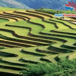 ruong-bac-thang
