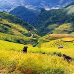 tour-du-lich-sapa2