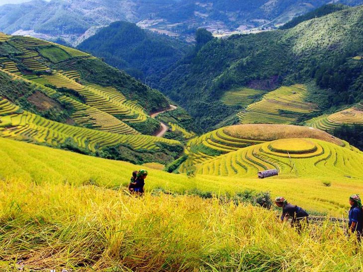 Những khu vực du lịch khi mà đến Sapa Nên tới vãn cảnh Sapa tại khoảng thời điểm nào?