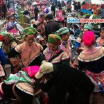 bac-ha