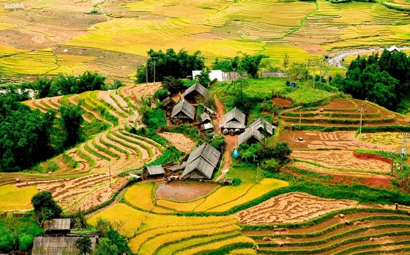 Với Kinh Nghiệm Du Lịch Sapa Bạn Nên Đến Bản Tả Phìn