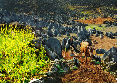 Ảnh chụp 1 góc nhỏ của cao nguyên đá Đồng Văn.