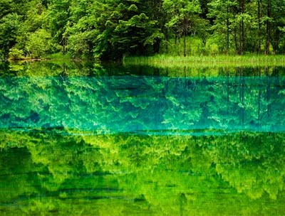 mặt nước và rừng cây xanh.