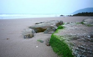 Bãi biển Hoành Sơn Hà Tinh