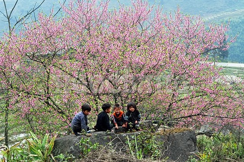 Nét đẹp Sapa