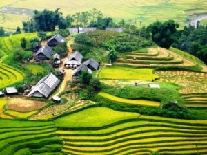 Thơ mộng ruộng bậc thang Sapa