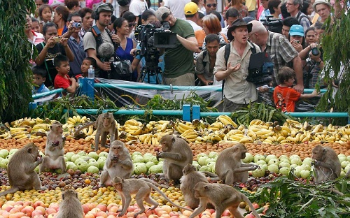 Hàng trăm loại bánh kẹo, hoa quả và nước ngọt được bày ra cho các chú khỉ