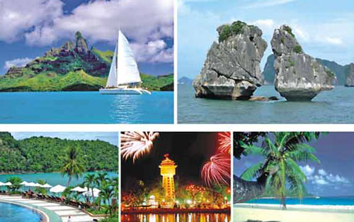 đảo ti top