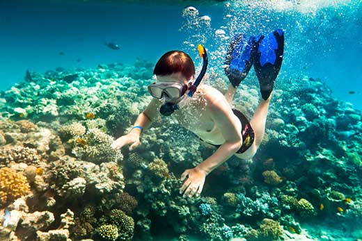 Nước biến trong vắt chính là điều kiện thuận lợi để du khách lặn biển ngắm san hô