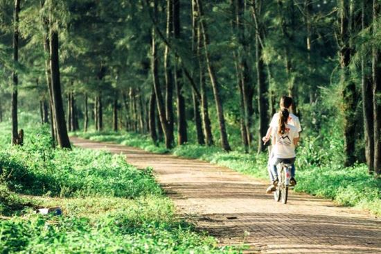 Khung cảnh thơ mộng tuyệt đẹp trên con đường tình yêu