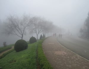 Sapa