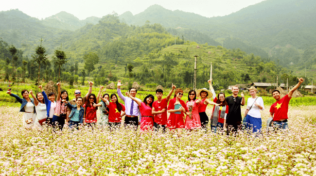 Hoa tam giác là biểu tượng du lịch thu hút đông đảo du khách trong và ngoài nước tới Hà Giang