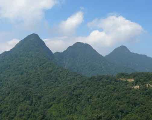 Đỉnh Rùng Rình