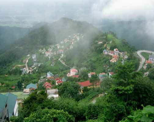 Tam Đảo chìm trong sương sớm