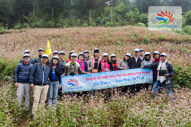 Đoàn du lịch Khát Vọng Việt chụp tại cánh đồng hoa Tam Giác Mạch