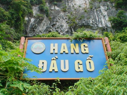 hang-dau-go