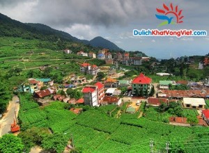 Tam Đảo nơi tránh nắng mùa hè lý tưởng