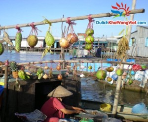 cho noi