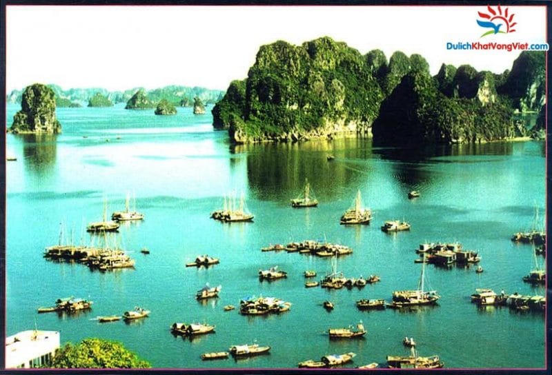 Tour Hà Nội – Hạ Long 2N ( du thuyền 4 sao Paloma)
