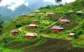 rừng núi sapa