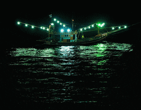 Cảnh câu mực đêm tại Phú Quốc 