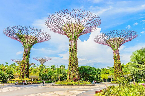 Nằm gần Mặt biển của Vịnh Marina ngay giữa trung tâm Singapore, Gardens by the Bay là một thiên đường cho những người yêu thiên nhiên