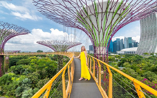 Chiêm ngưỡng toàn cảnh thành phố và hít thở không khí trong lành từ OCBC Skyway trong Gardens by the Bay Singapore. 