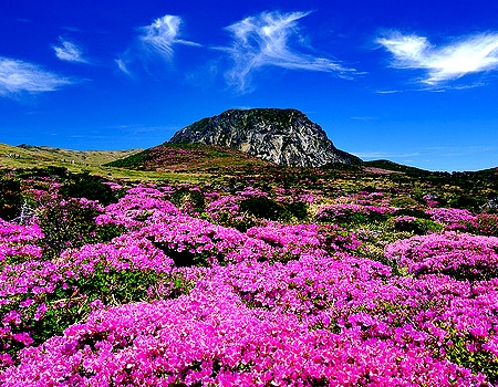 Ghé thăm đảo Jeju, Hàn Quốc.