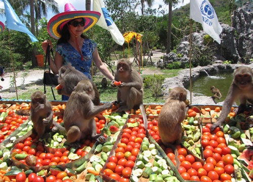 Lễ hội Hoa quả sơn trên Đảo Khỉ Nha Trang