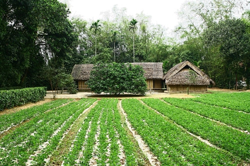 Về làng Sen – Nghệ An thăm mái nhà tranh quê Bác