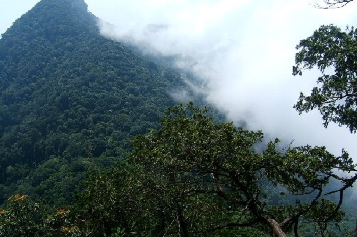 Đỉnh Rùng Rình - Tam Đảo