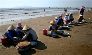 "Chợ cá" ngay tại bãi biển