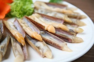 Ốc móng tay Cô Tô