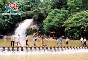 Rừng Bằng Tạ với nhiều muông thú tự nhiên rất thú vị