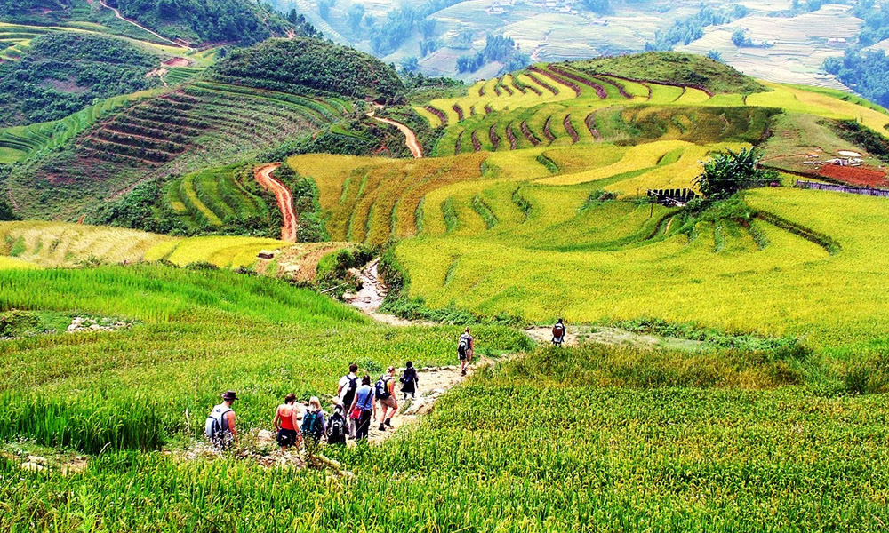 Thung lũng Mường Hoa - Nơi hội tụ vẻ đẹp của núi rừng Sapa