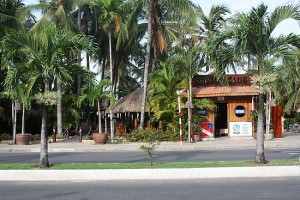 Quán ăn Dừa Xanh Nha Trang