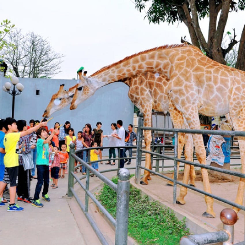 Du khách tham quan Vườn thú