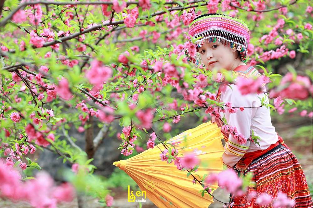 Khung cảnh đầu xuân hoa đào nở tại Sapa