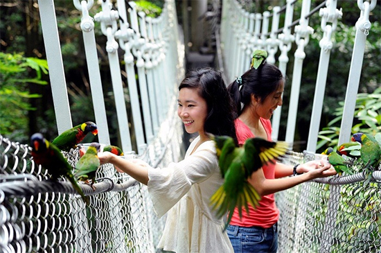 Vườn chim Jurong ngôi nhà của những loài chim quý