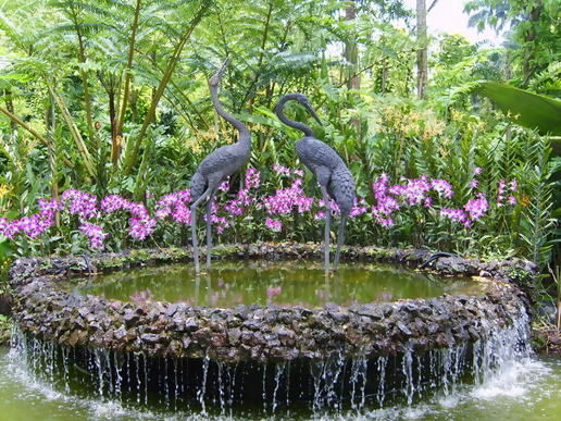Vườn bách thảo Botanic Garden
