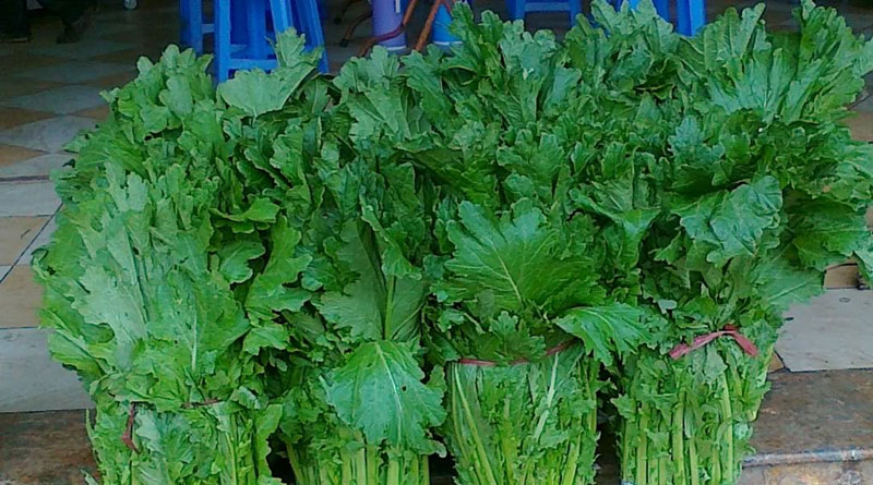 Rau cải mèo - loại rau đặc trưng chỉ có tại Sapa
