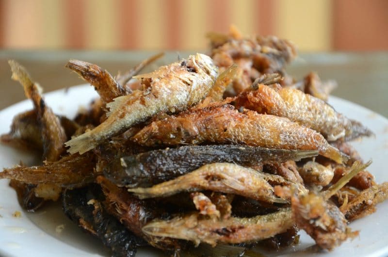 Cá suối nướng Mộc Châu có thể ăn cả xương, là món ăn được các du khách ưa chuộng