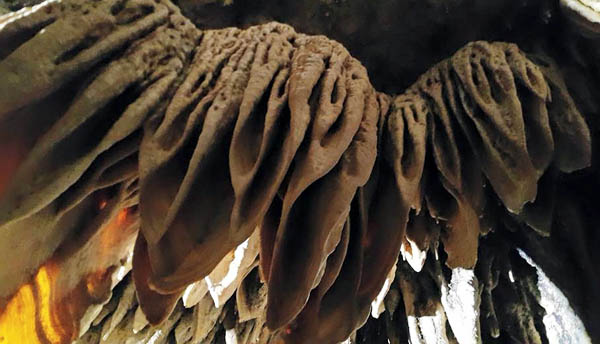 Hang Rồng Hà Giang với nhiều nhũ đá đủ loại hình dạng khác nhâu