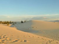 Vẻ đẹp hoang sơ của đồi cát Quang Phú