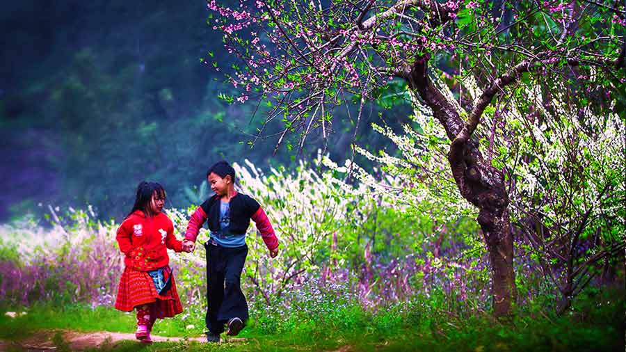 Thời điểm du lịch Sapa
