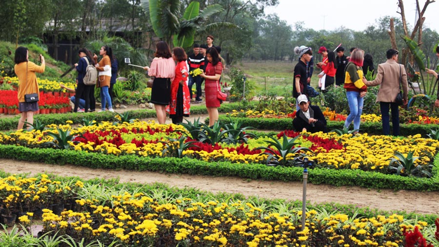 Hàng ngàn du khách khám phá Đồng Nôi Thiên Cầm mỗi mùa du lịch về
