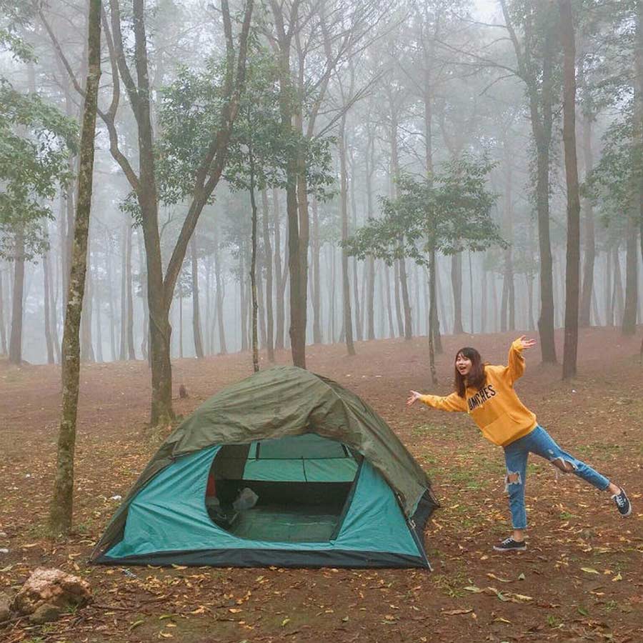 Cắm trại ở rừng thông Ba Vì