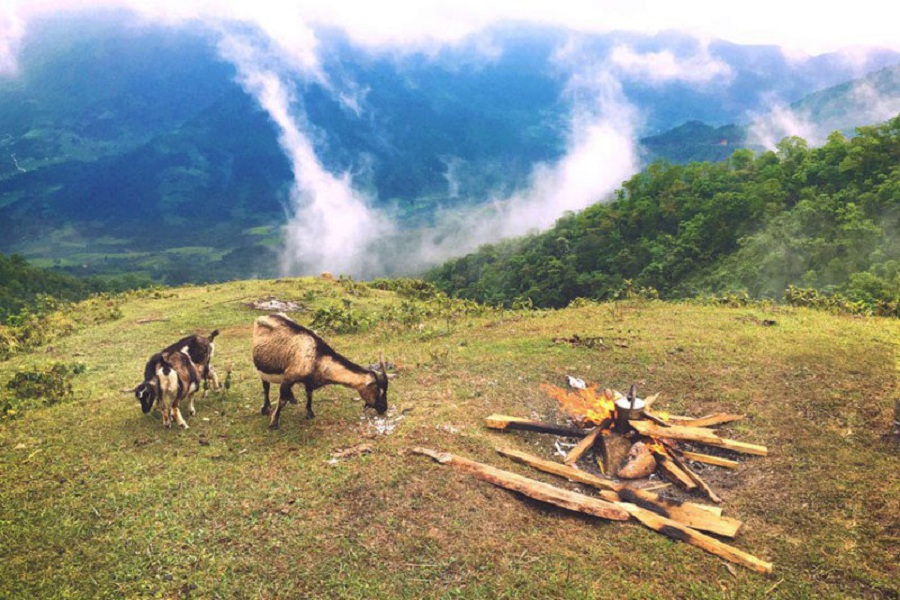 Khung cảnh hữu tình yên bình một thoáng trên núi Cao Xiêm