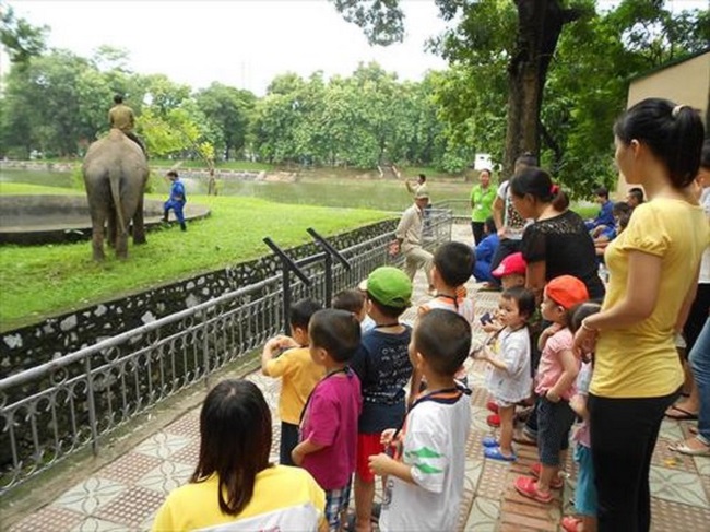 Vườn thú Thủ Lệ là nơi nuôi dưỡng nhiều loài động vật quý hiếm của Việt Nam